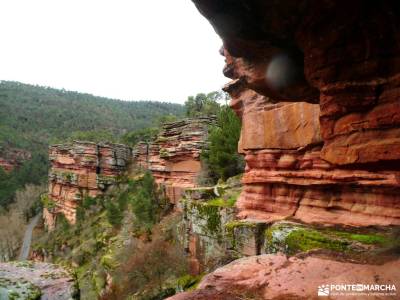 Daroca Salvaje_Gallocanta-Pinsapar de Orcajo; refugio de poqueira monasterios en navarra comarca del